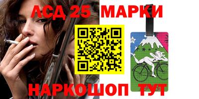 Альфа ПВП Дубна