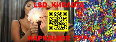 Альфа ПВП Дубна