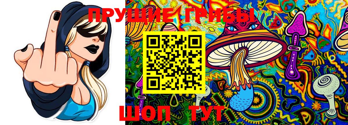 Галлюциногенные грибы Psilocybe  Электрогорск  Псилоцибиновые грибы Magic Shrooms 