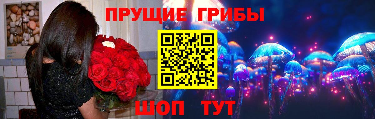 Галлюциногенные грибы Cubensis Электрогорск