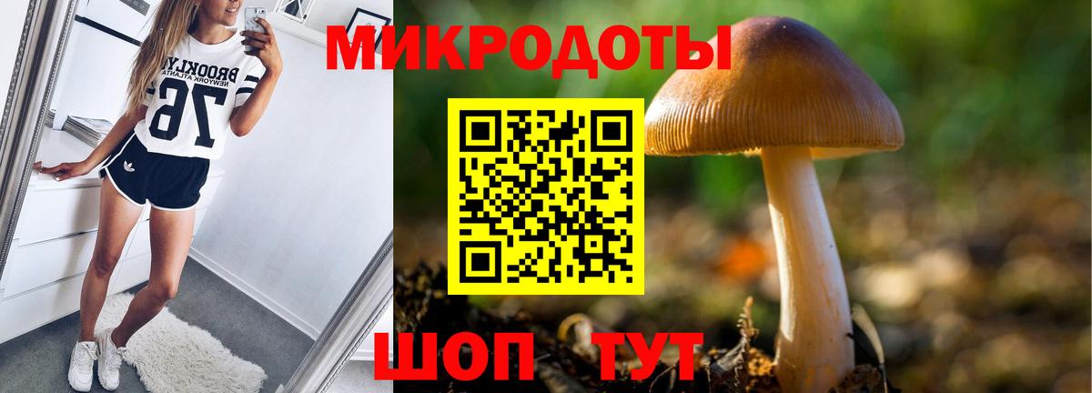 Галлюциногенные грибы MAGIC MUSHROOMS  Вход с VPN  магазин продажи   Псилоцибиновые грибы MAGIC MUSHROOMS  Электрогорск 