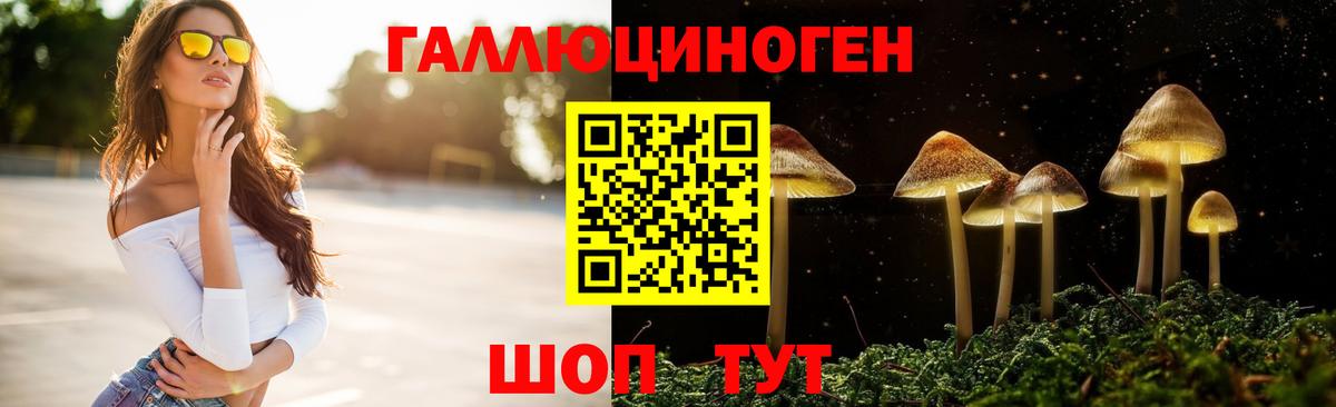 Галлюциногенные грибы Magic Shrooms Электрогорск