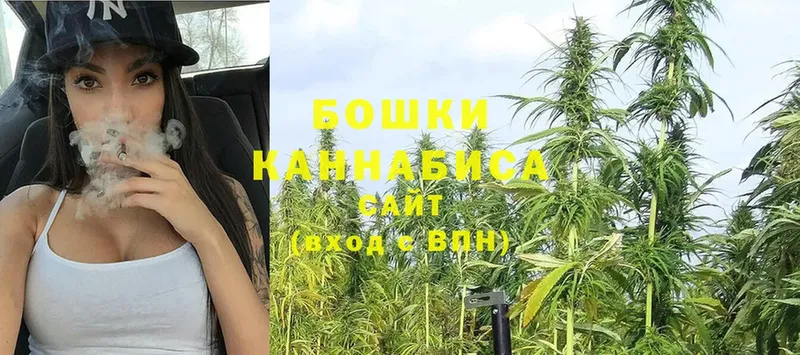 Бошки марихуана Bruce Banner  закладка  Электрогорск 